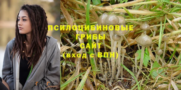 ALPHA PVP Заволжск