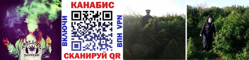 Бошки Шишки индика  Купить где  Кремёнки 